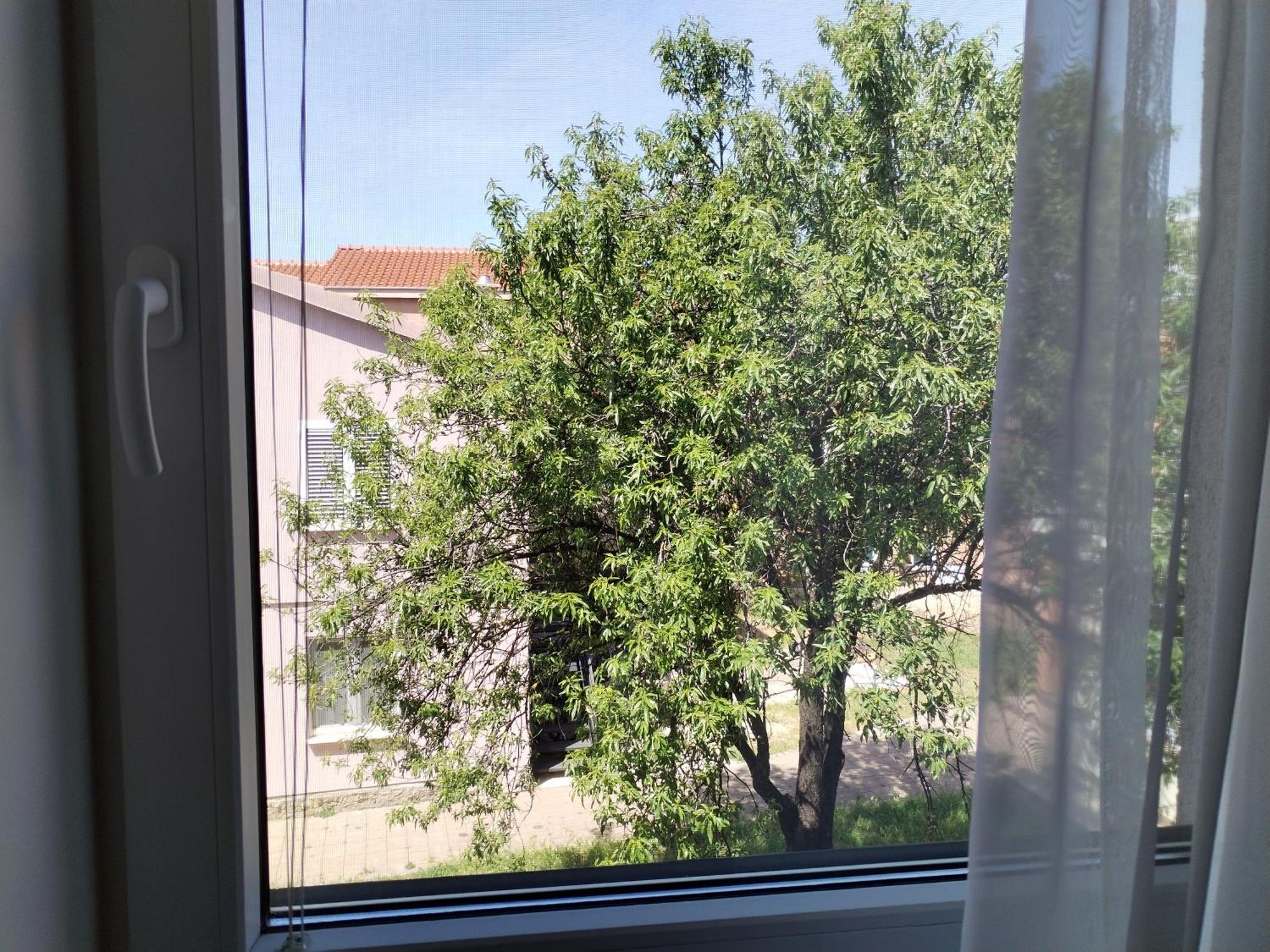Family Apartment B&B Biograd Na Moru Luaran gambar