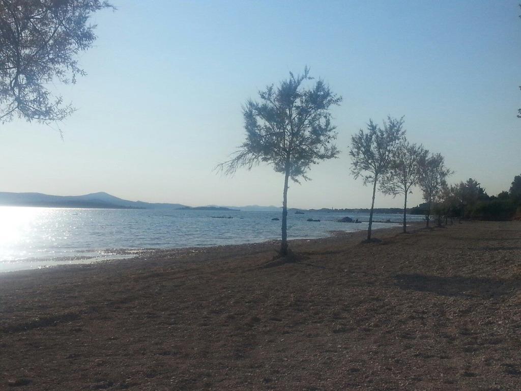 Family Apartment B&B Biograd Na Moru Luaran gambar