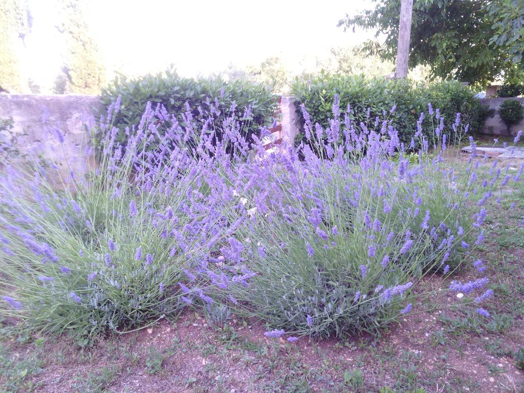 Family Apartment B&B Biograd Na Moru Luaran gambar